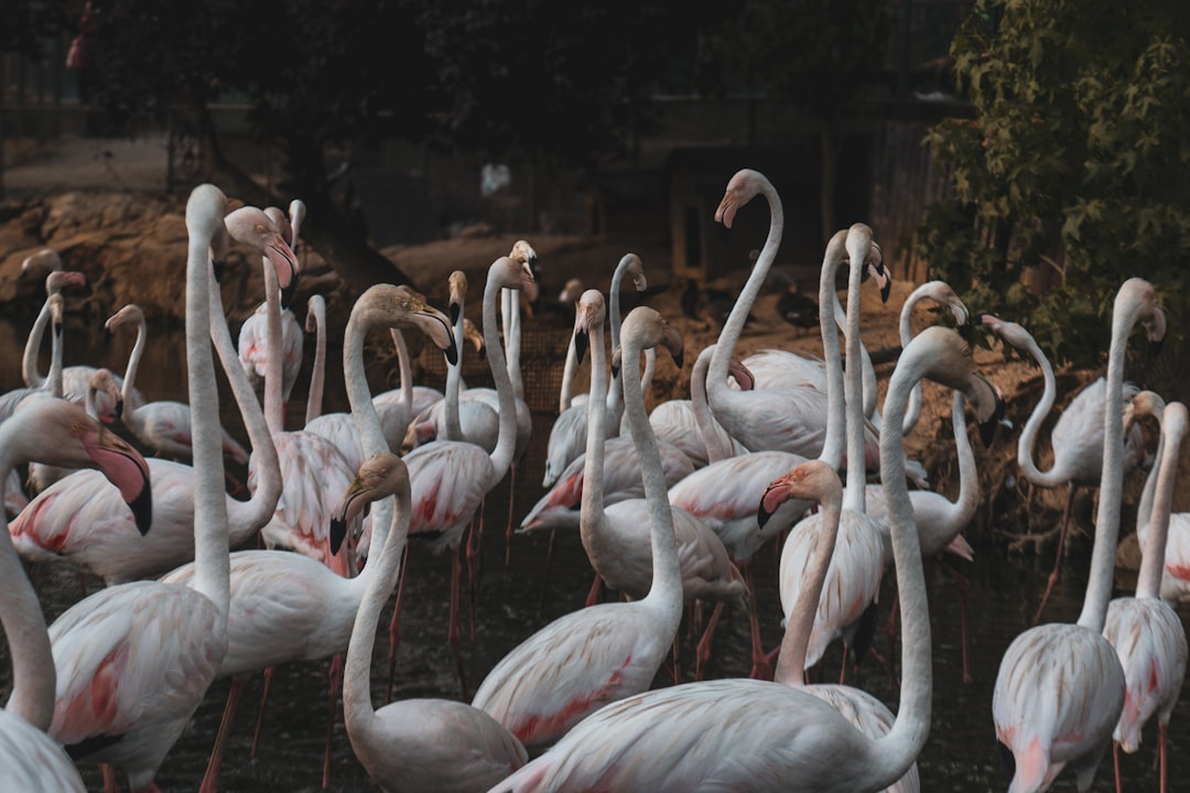 The 15-Minute Board Meeting Anxiety Ceo Fix