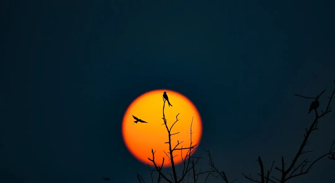 Birds flying past a large, bright sun at dusk.