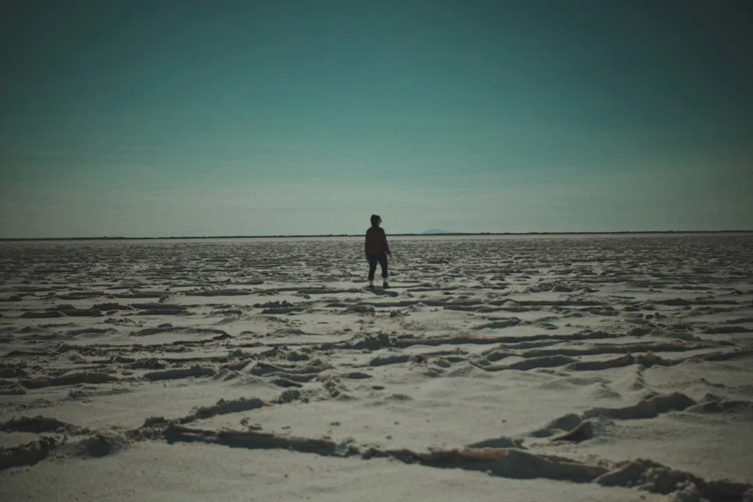 a man standing in the middle of a field