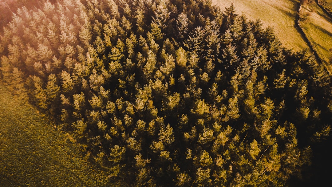 A CEO’s practical guide: one‑page minutes, 72‑hour approval SLA, consent agendas, and secure storage to reduce litigation and speed diligence.