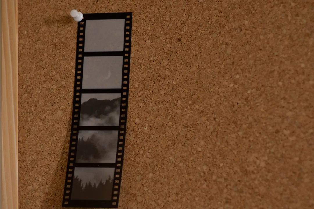 a film strip hanging on a cork wall