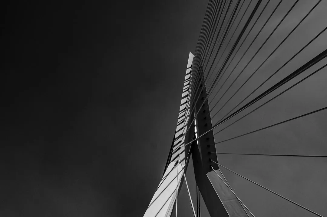 a black and white photo of the top of a bridge