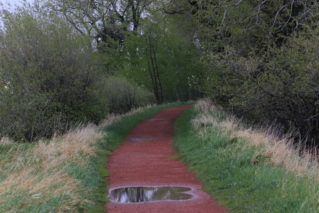 a red road with a puddle in the middle of it