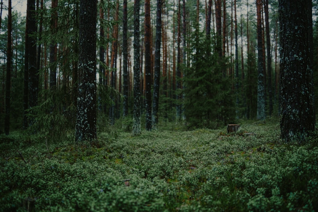 Board Pack Template Startup Doesn't Work (Here's What Does)