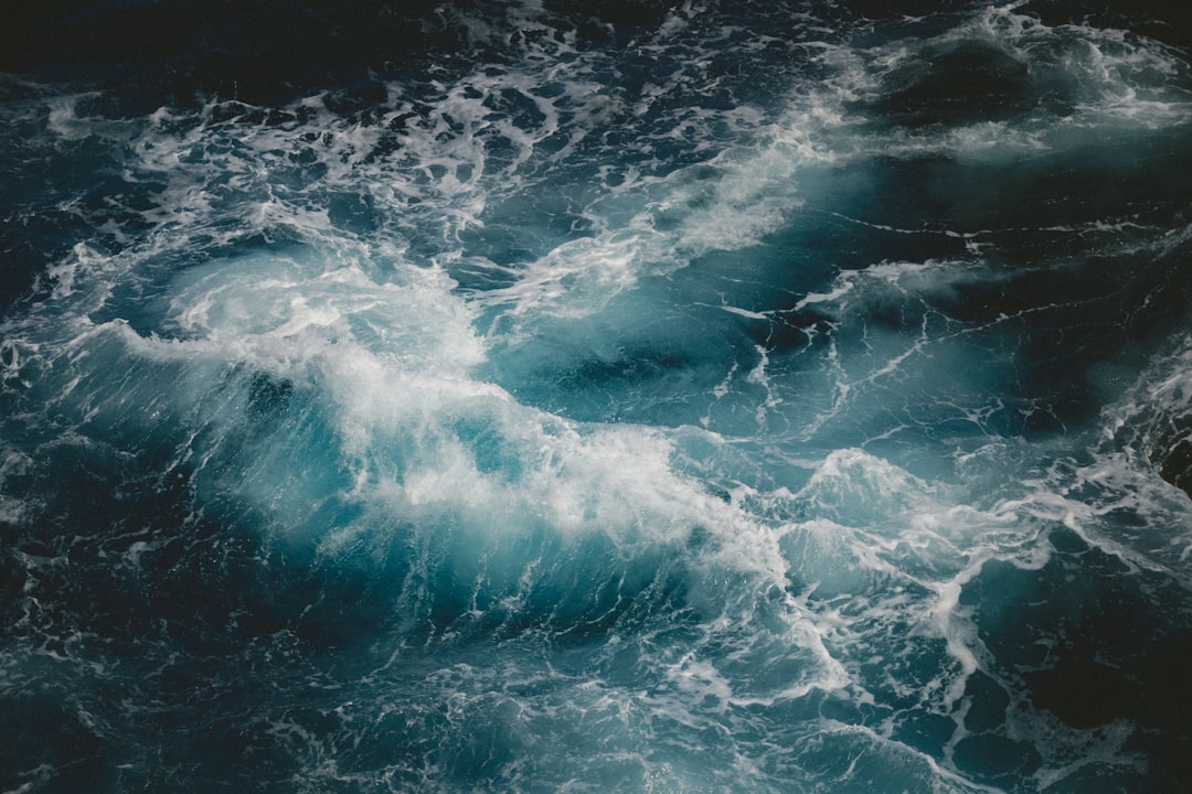 Offer a startup-grounded, governance-first view that shows how nonprofits can leverage board portal software to streamline meetings, secure data, and accelerate decision cycles without overpromising outcomes.