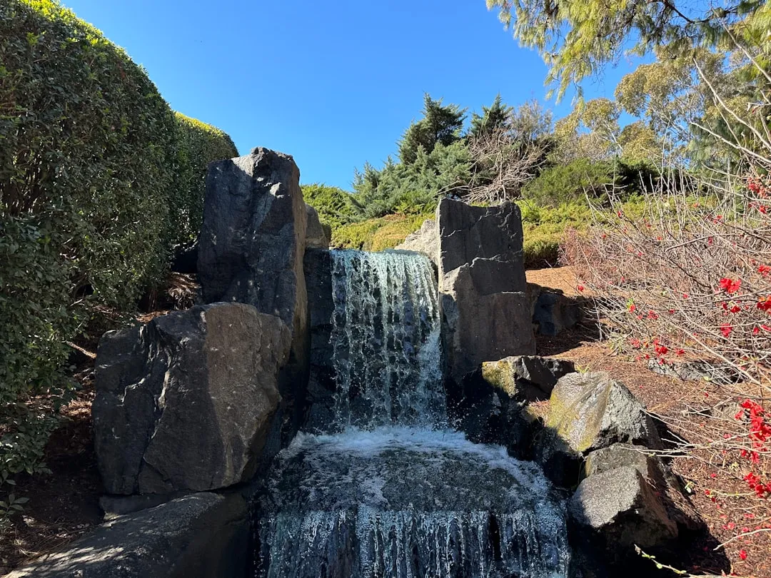 a small waterfall in the middle of a forest