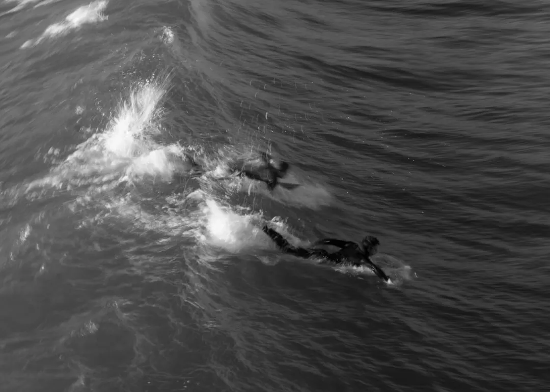 Two swimmers in dark wetsuits in choppy water
