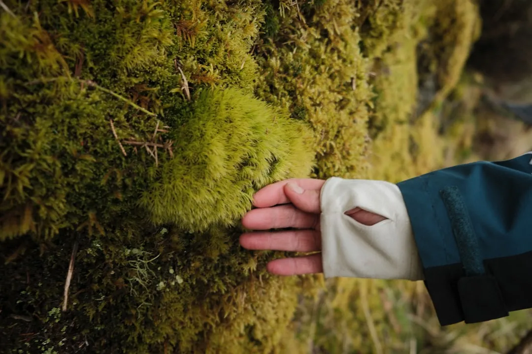 A person holding onto a moss covered wall