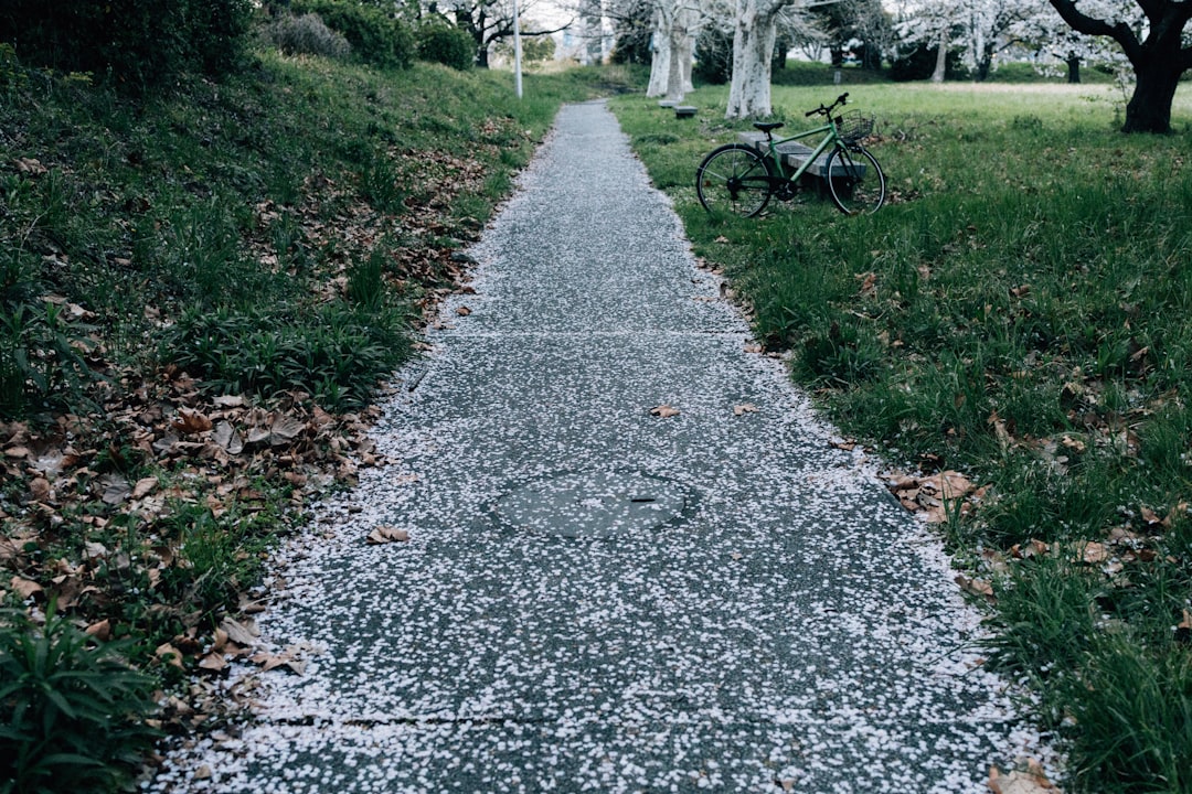 The Cap Table Venture Capital Myth That's Costing You