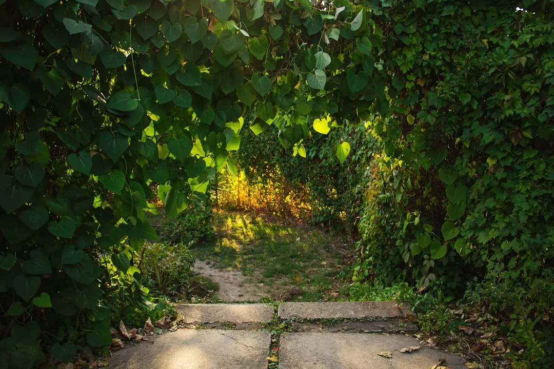 Protective provisions and board approval process