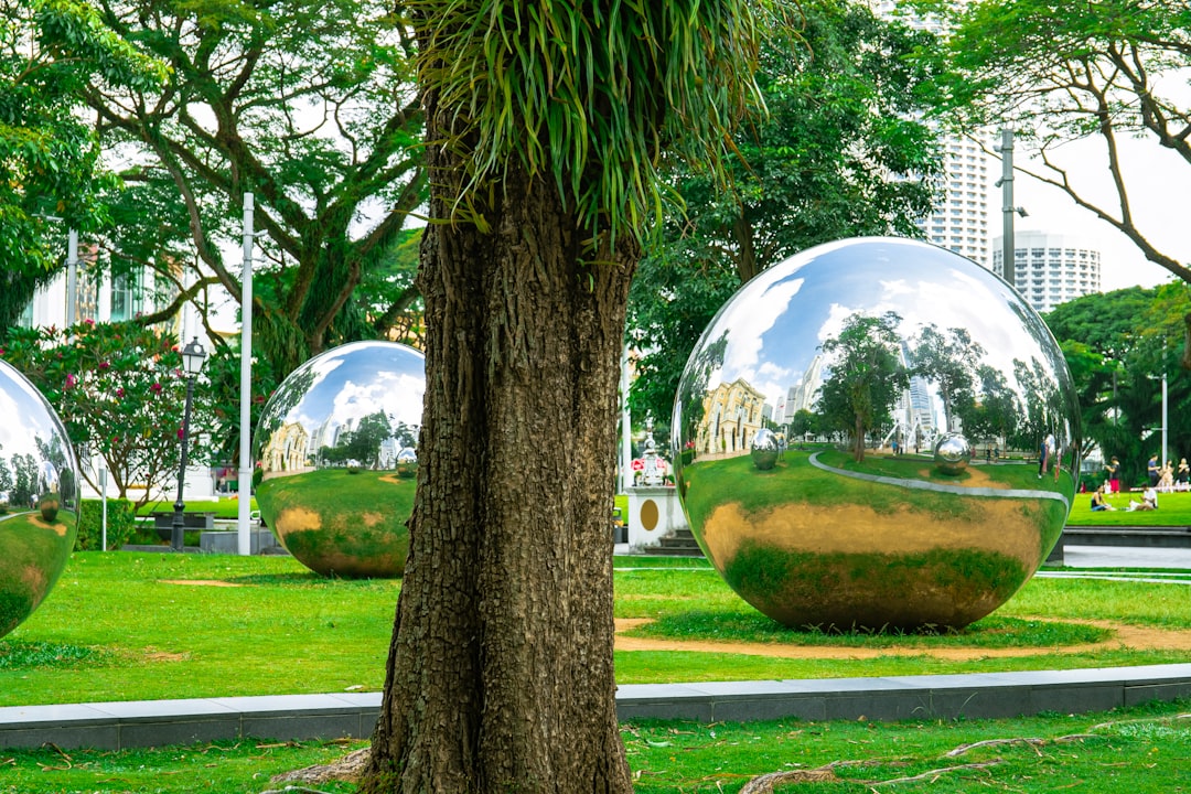 The Colorado Startup Scene Myth That's Costing You