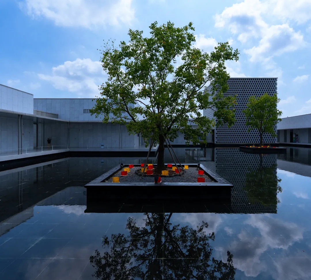 Tree reflected in water at modern building