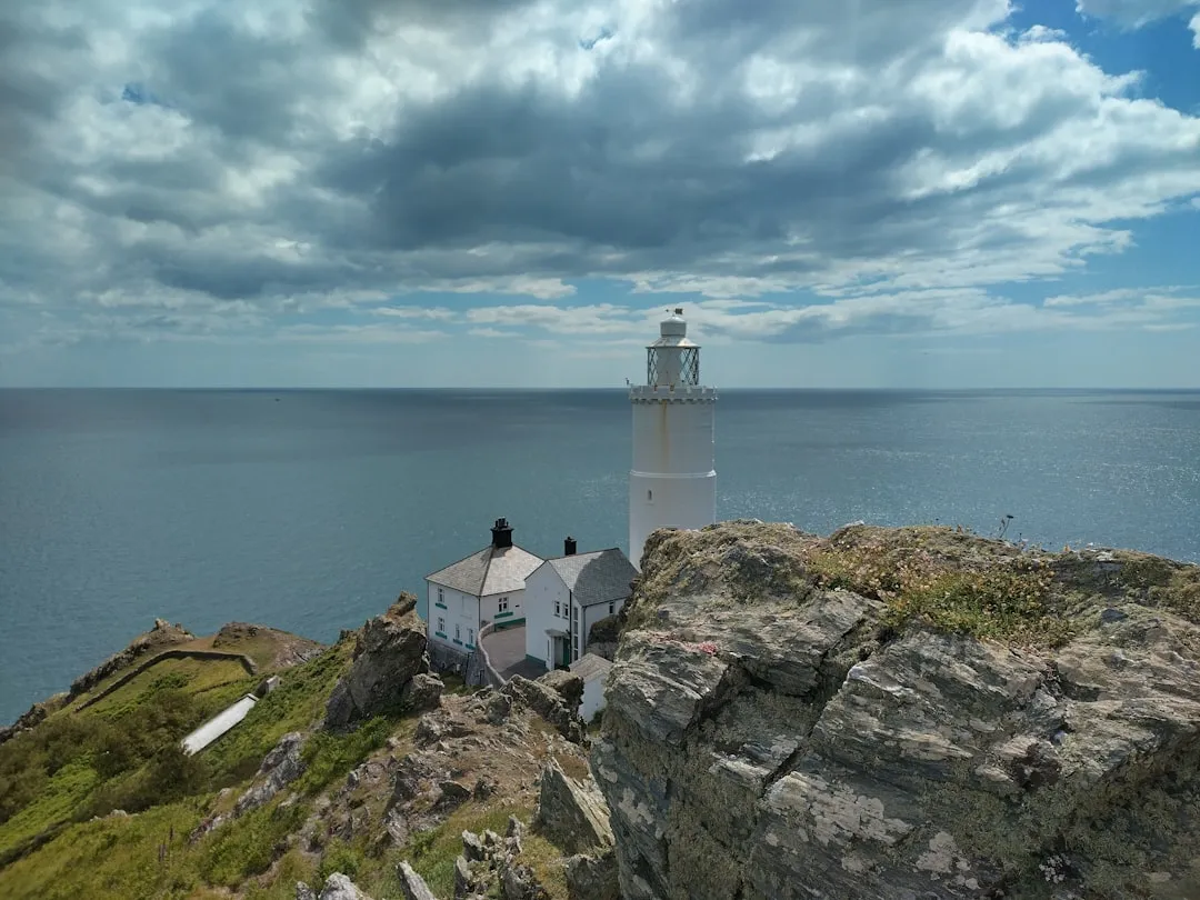 CEO and executive team roles and responsibilities