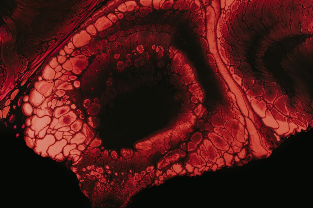 Corporate Governance Audit: Essential Guide for Investors