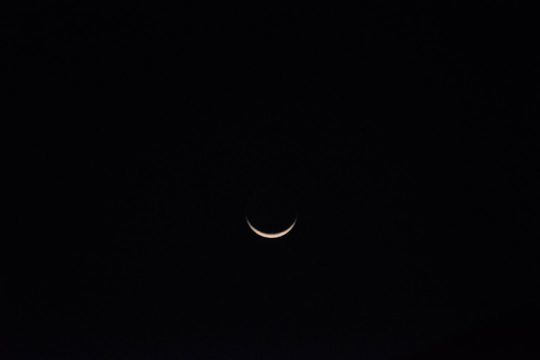 D&O Directors Insurance: Essential Protection for Executives