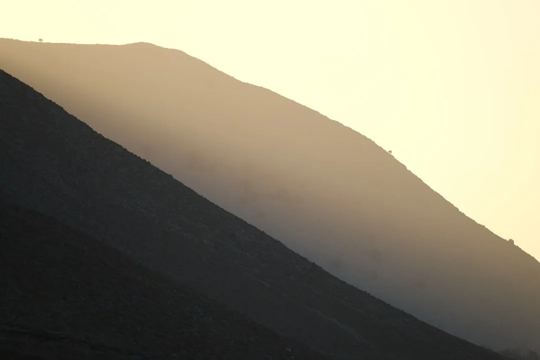 a hill with a bird standing on top of it