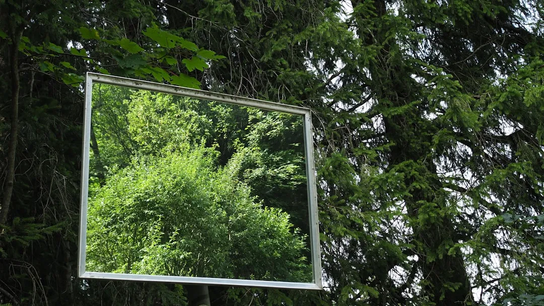 a mirror hanging from the side of a tree