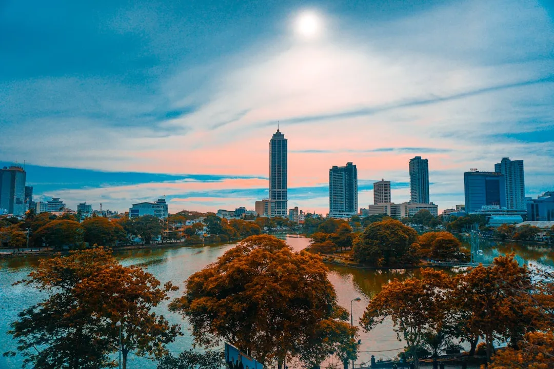 aerial view of trees and buildings near body of water
