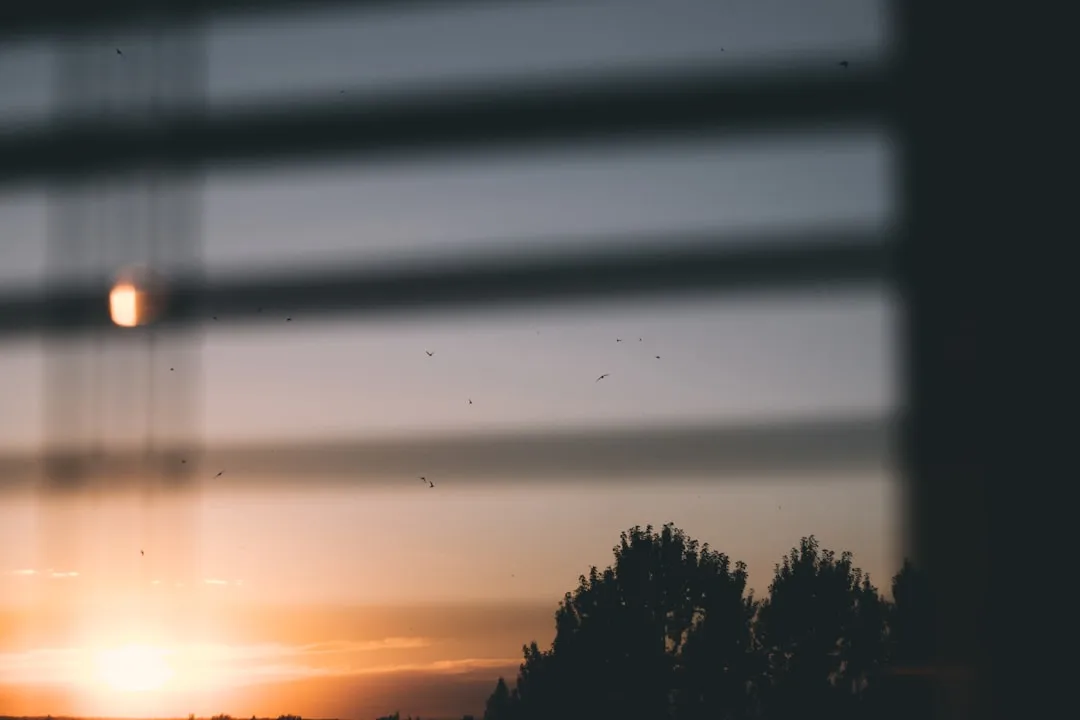 a sunset seen through a window with trees in the background