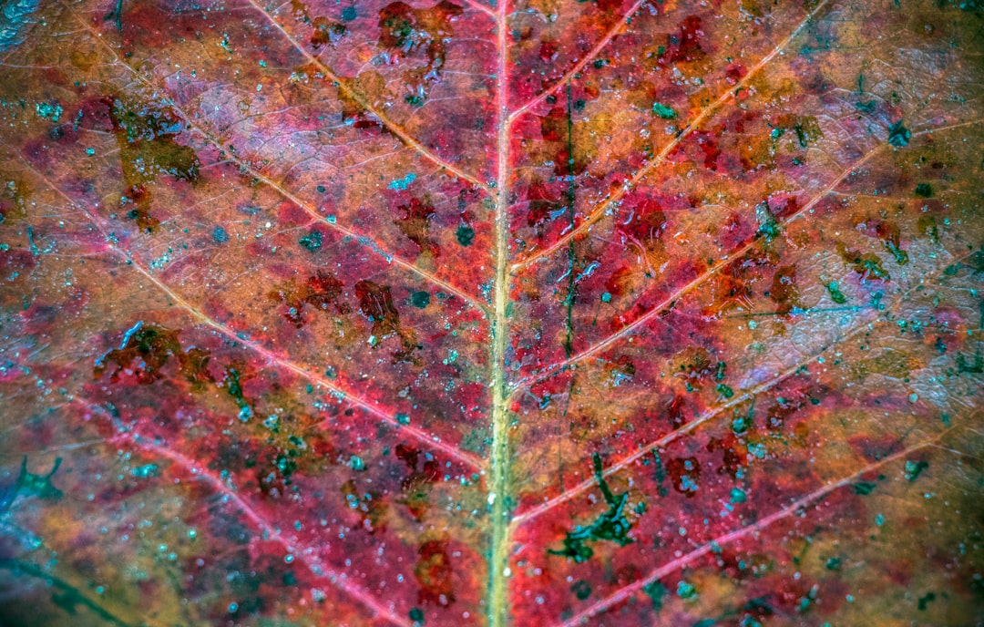 The How Do Vcs Evaluate Tam Framework CEOs Don't Share