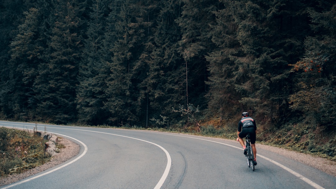 How Often Should a Nonprofit Board Meet? A Guide