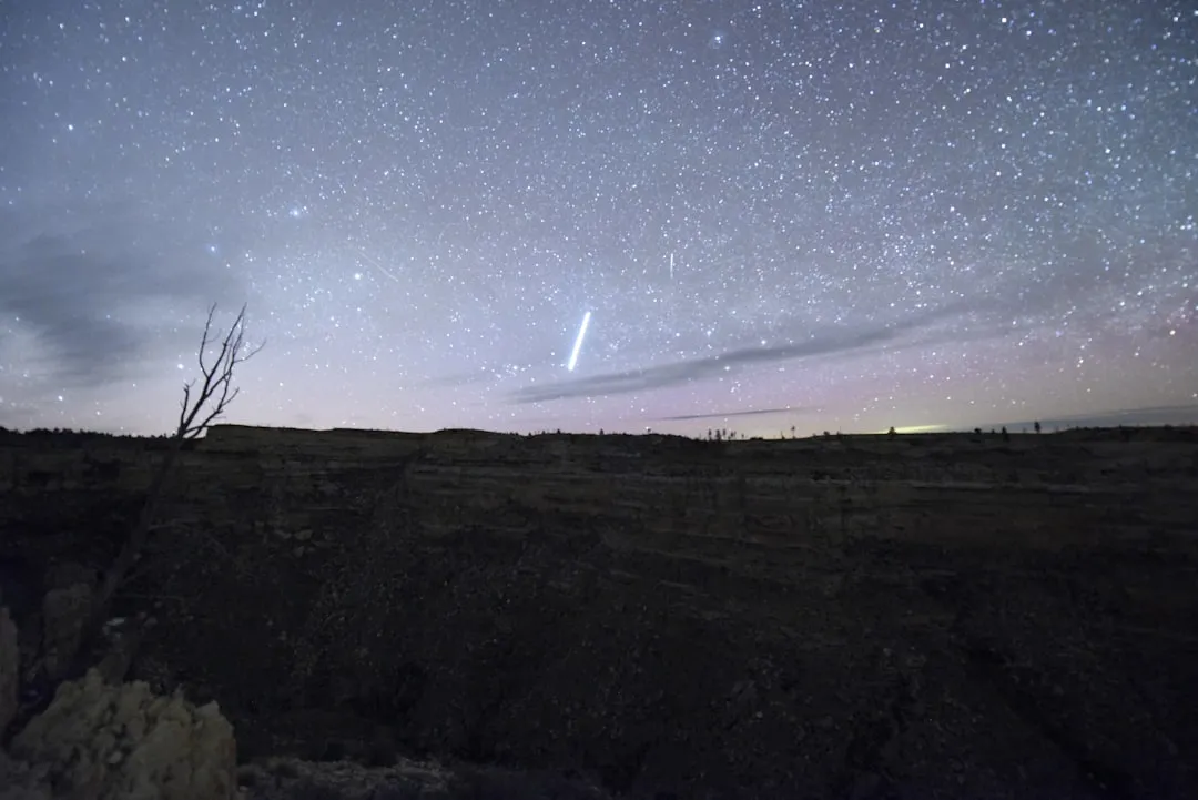 the night sky with stars and a tree in the foreground