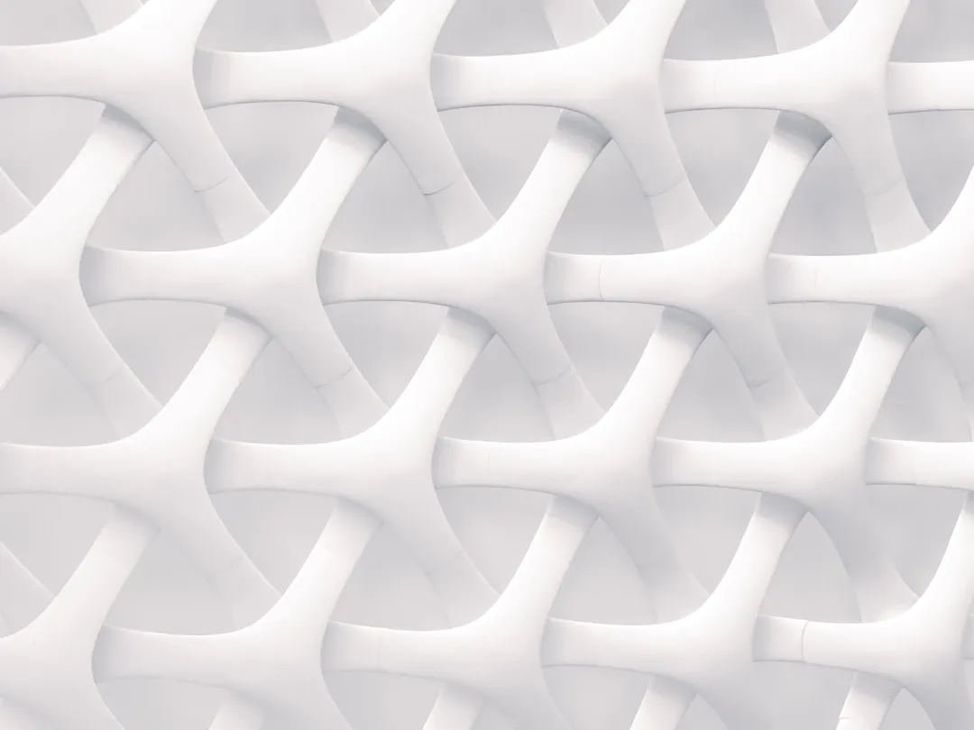 white and gray optical illusion
