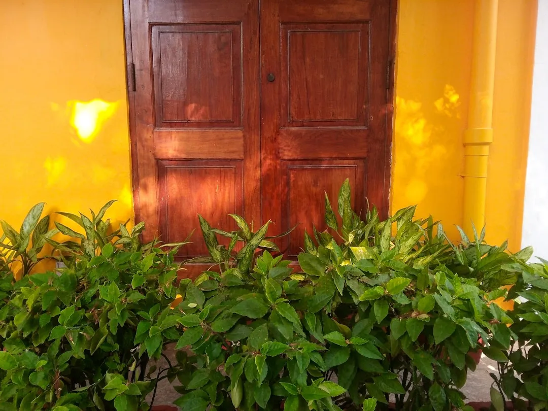 a wooden door sitting next to a lush green plant