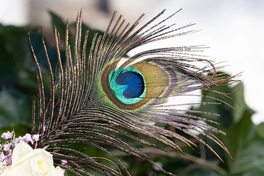a close up of a peacock's tail with flowers in the background