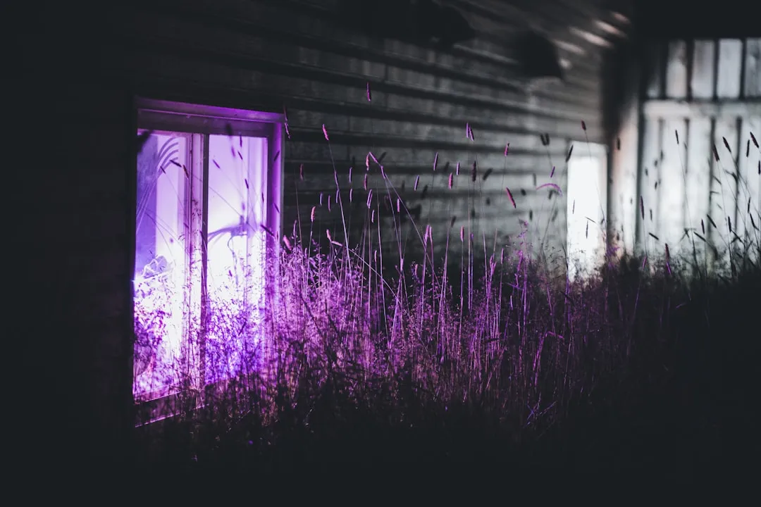 a window with pink lights