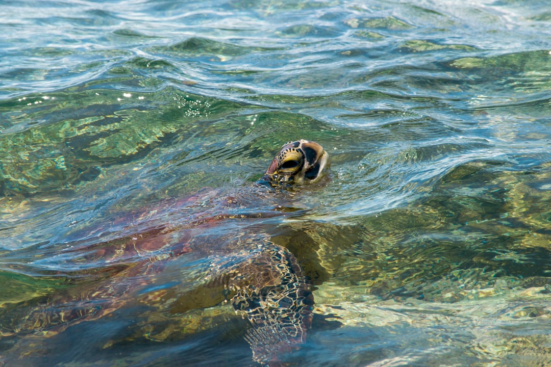 Secretary Meeting Minutes: From Chaos to Clarity in 30 Days