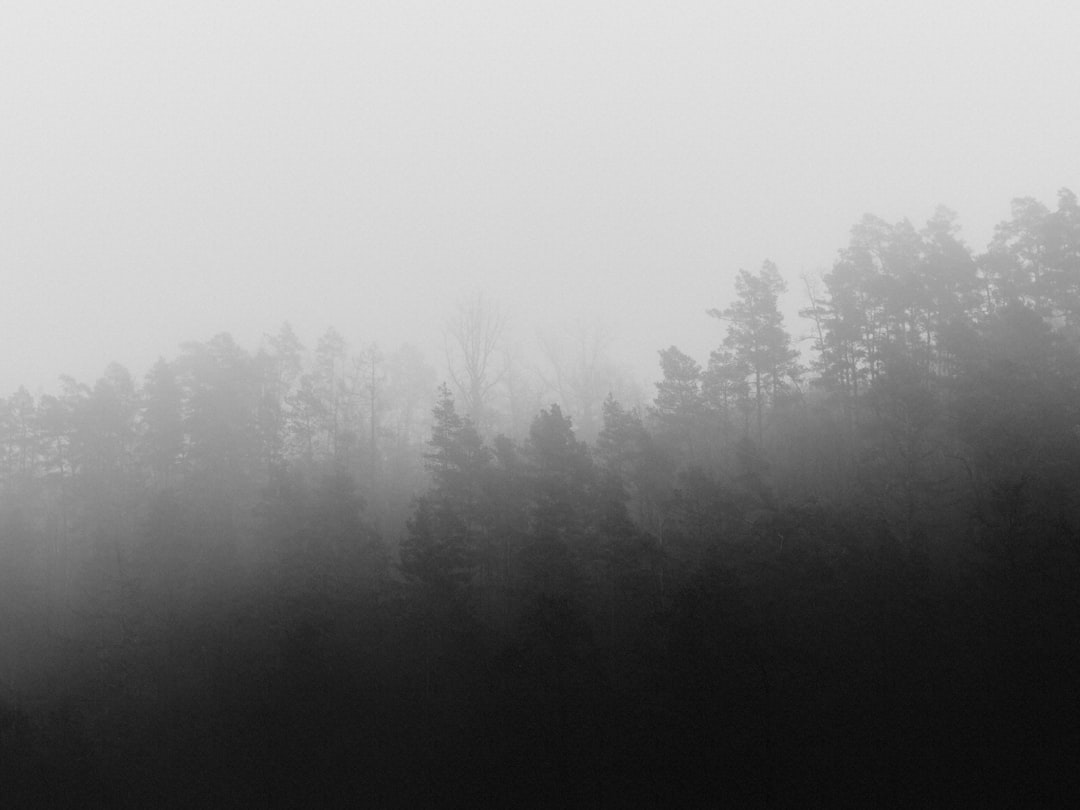 The Secure Board Software Framework CEOs Don't Share