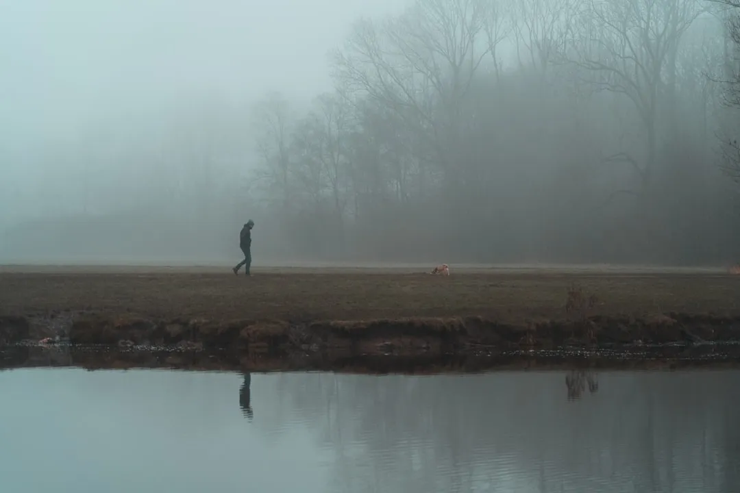 a person walking on a foggy field next to a body of water