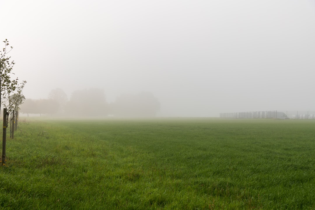 Startup Board Meeting Template: The 90-Minute Decision Sprint