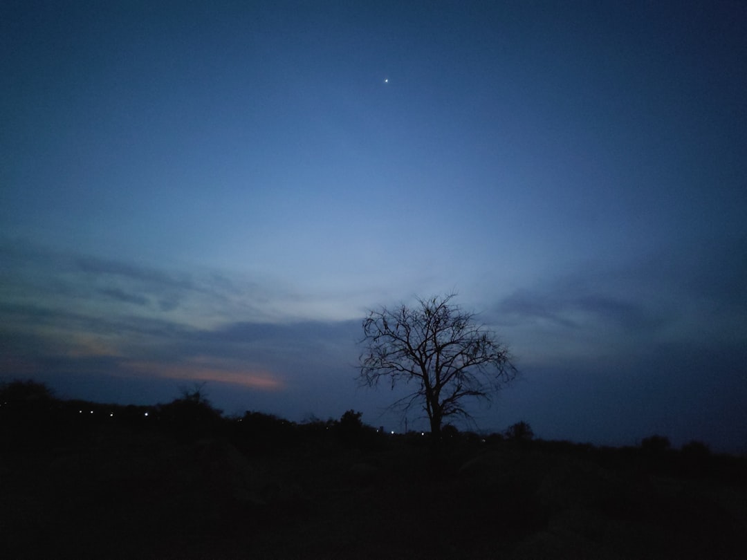 What Nobody Tells You About What Is A Consent Agenda